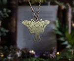 Lade das Bild in den Galerie-Viewer, Golden Butterfly stainless steel necklace