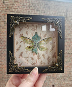 Load image into Gallery viewer, OOAK Mini Frames - different styles
