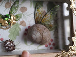 Lade das Bild in den Galerie-Viewer, OOAK Fae Snail Frame
