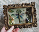Load image into Gallery viewer, OOAK Baroque Frame Kelpie
