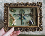 Lade das Bild in den Galerie-Viewer, OOAK Baroque Frame Kelpie
