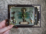 Load image into Gallery viewer, OOAK Woodland Fae Key Frame - Frog
