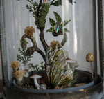 Load image into Gallery viewer, OOAK Faerie Big Lantern Woodland Branch
