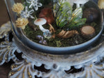 Load image into Gallery viewer, OOAK Faerie Big Lantern Woodland Branch
