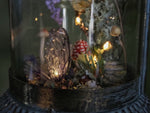 Lade das Bild in den Galerie-Viewer, OOAK Faerie Lantern Wisteria Dream - Lightning function
