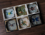 Lade das Bild in den Galerie-Viewer, OOAK Mini Frames - different styles
