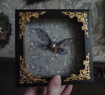 Lade das Bild in den Galerie-Viewer, OOAK Mini Frames - different styles
