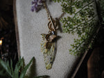 Lade das Bild in den Galerie-Viewer, Charm Fae Necklace Luna Moth, nature, gold
