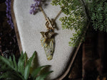 Lade das Bild in den Galerie-Viewer, Charm Fae Necklace Luna Moth, nature, gold
