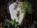 Lade das Bild in den Galerie-Viewer, Charm Fae Necklace Luna Moth, nature, gold
