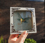 Load image into Gallery viewer, OOAK Mini Frames - different styles
