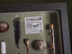 Lade das Bild in den Galerie-Viewer, OOAK Trinket Fae Frame - big
