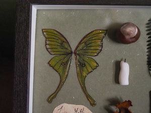 OOAK Trinket Fae Frame - big