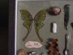 Lade das Bild in den Galerie-Viewer, OOAK Trinket Fae Frame - big
