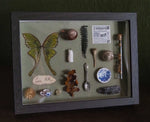 Lade das Bild in den Galerie-Viewer, OOAK Trinket Fae Frame - big
