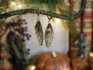 Earrings Stars - gold, black
