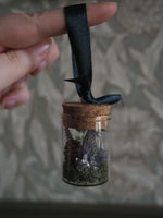 Load image into Gallery viewer, Tree Hanging Mini Faerie Glasses - different variations
