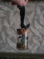 Load image into Gallery viewer, Tree Hanging Mini Faerie Glasses - different variations
