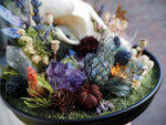Lade das Bild in den Galerie-Viewer, OOAK Fox Skull Fairy Glass Globe - Halloween Special
