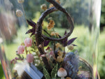 Load image into Gallery viewer, OOAK Fairy Globe &quot;Enchanting Book&quot;
