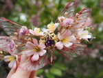 Load image into Gallery viewer, OOAK Cherry Blossom Crown 2
