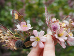 Load image into Gallery viewer, OOAK Cherry Blossom Crown 2
