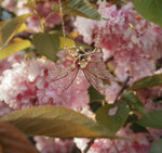 Lade das Bild in den Galerie-Viewer, Cherry Blossom necklace pink, gold - made to order
