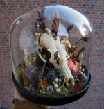 Lade das Bild in den Galerie-Viewer, OOAK Fox Skull Fairy Glass Globe - Halloween Special
