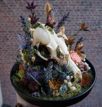 Lade das Bild in den Galerie-Viewer, OOAK Fox Skull Fairy Glass Globe - Halloween Special
