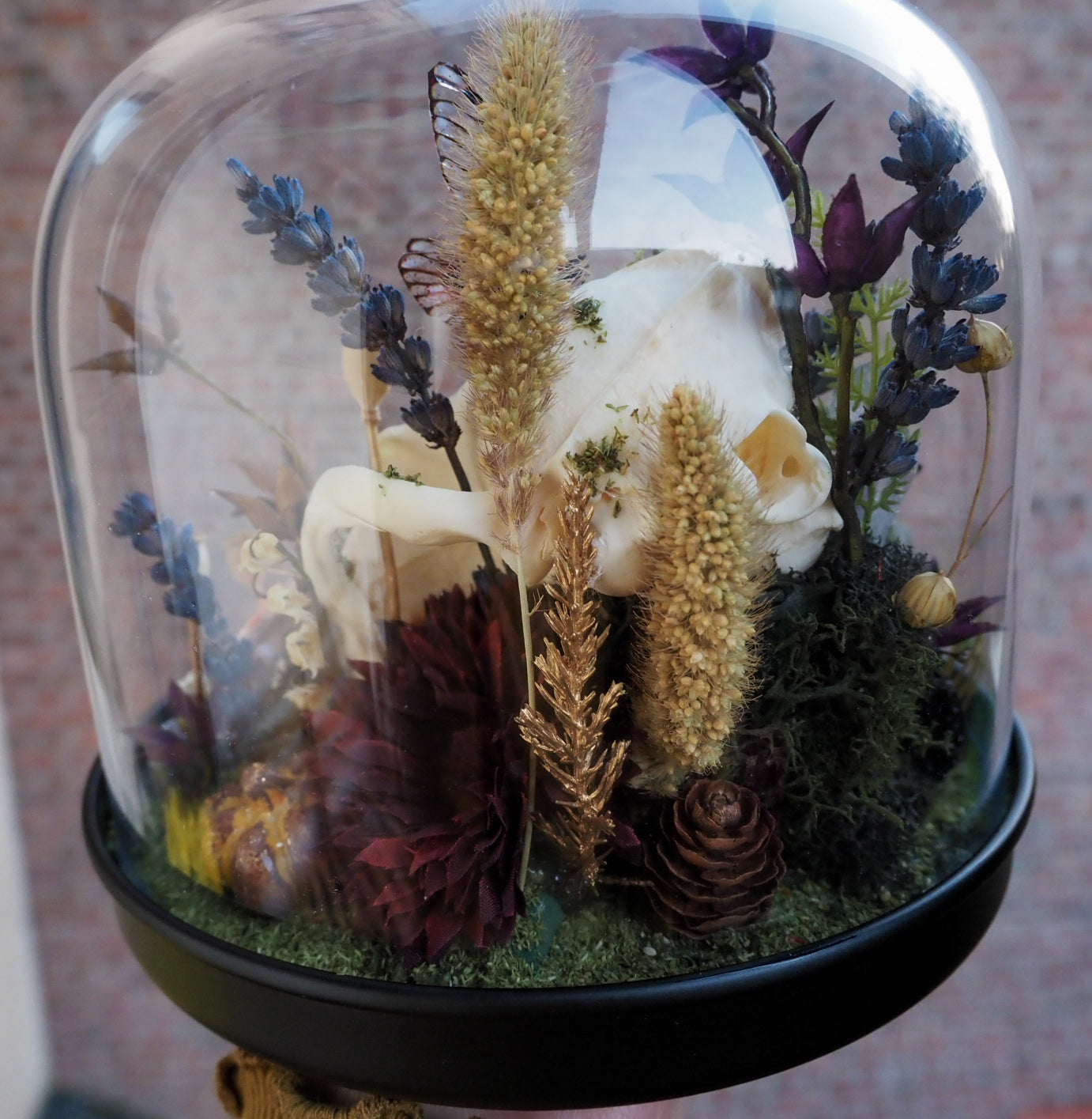 OOAK Fox Skull Fairy Glass Globe - Halloween Special