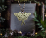 Lade das Bild in den Galerie-Viewer, Golden Butterfly stainless steel necklace
