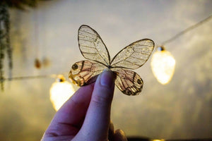 Butterfly Faerie Wings for your Crafting Projects